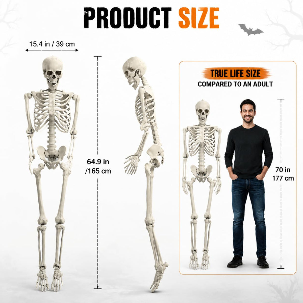 5.4 FT Poseable Skeleton K61970