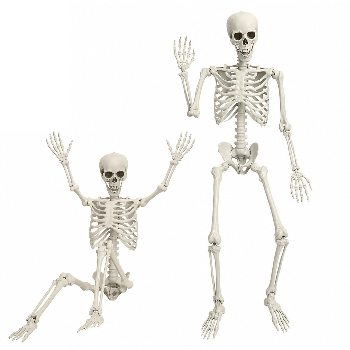 5.4 FT Poseable Skeleton K61970