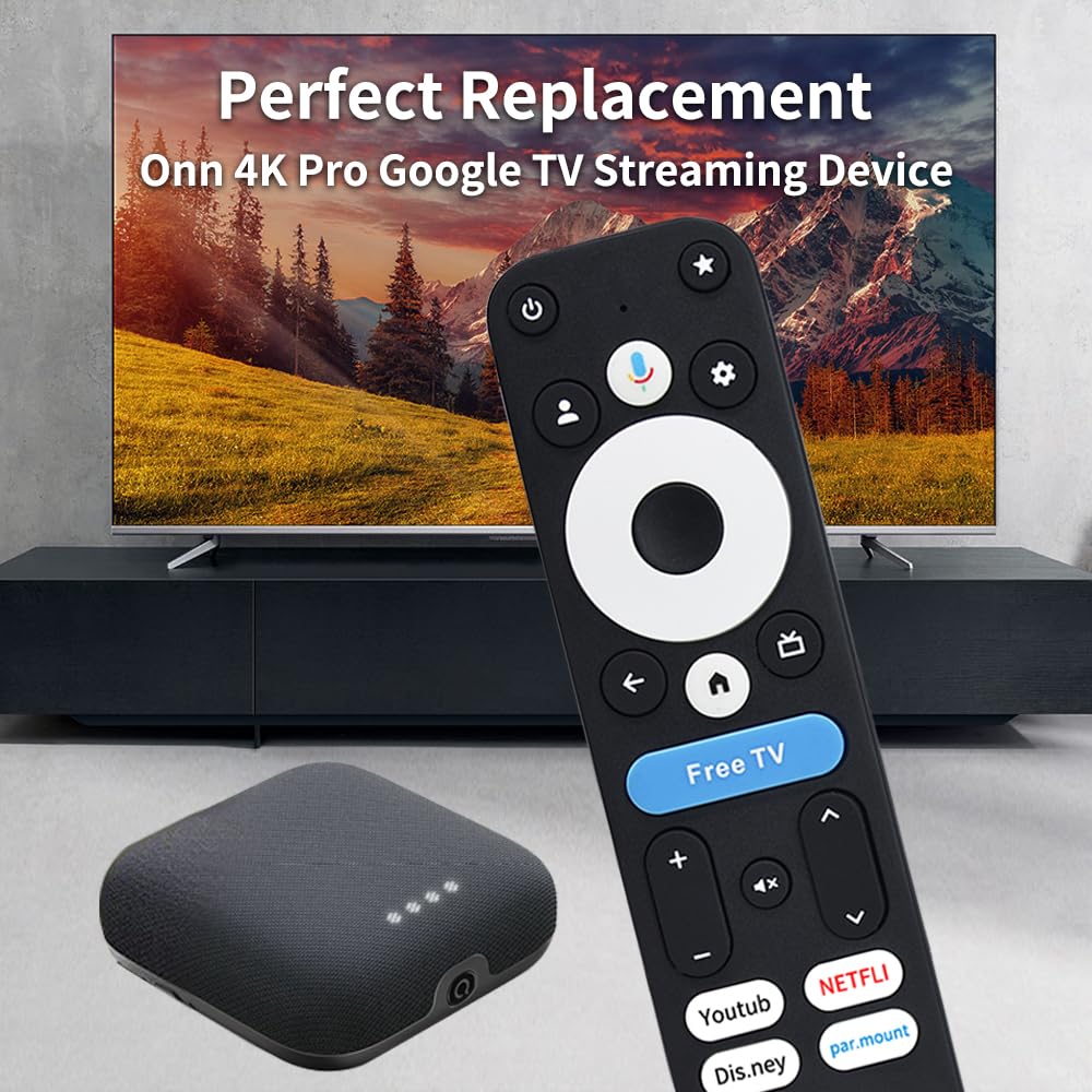 Voice Remote Replacement Control D29536
