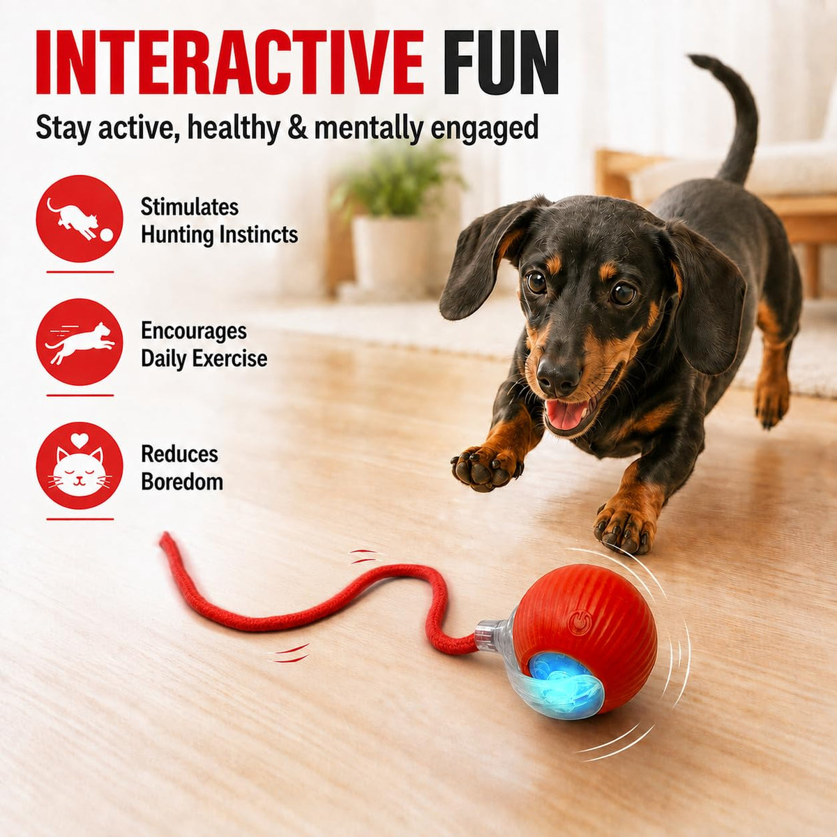 Automatic Rolling Electronic Cat Dog Toy W9982
