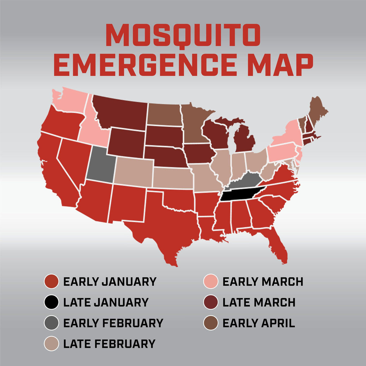 Mosquito Kill & Prevent Refill Kit H8059