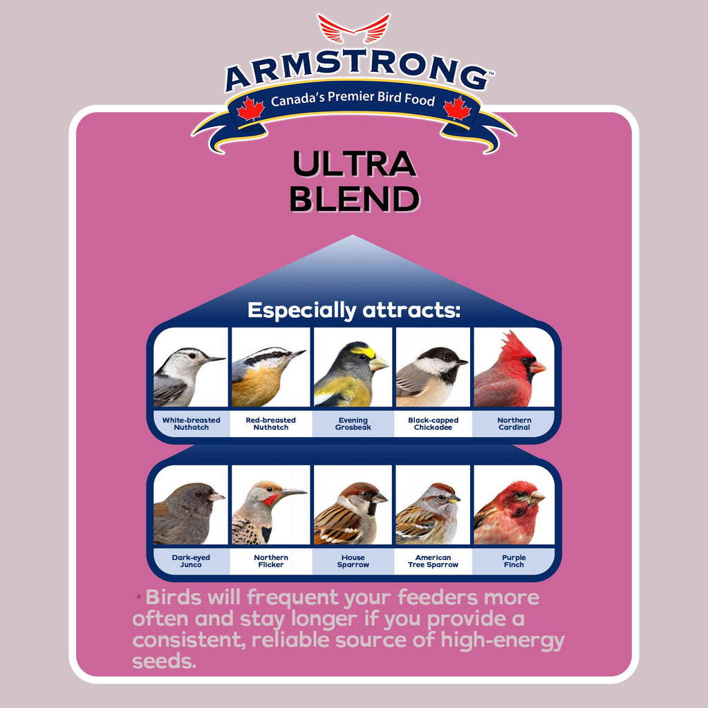 Wild Bird Food Ultra Blend 20 Pound Pail Z24134