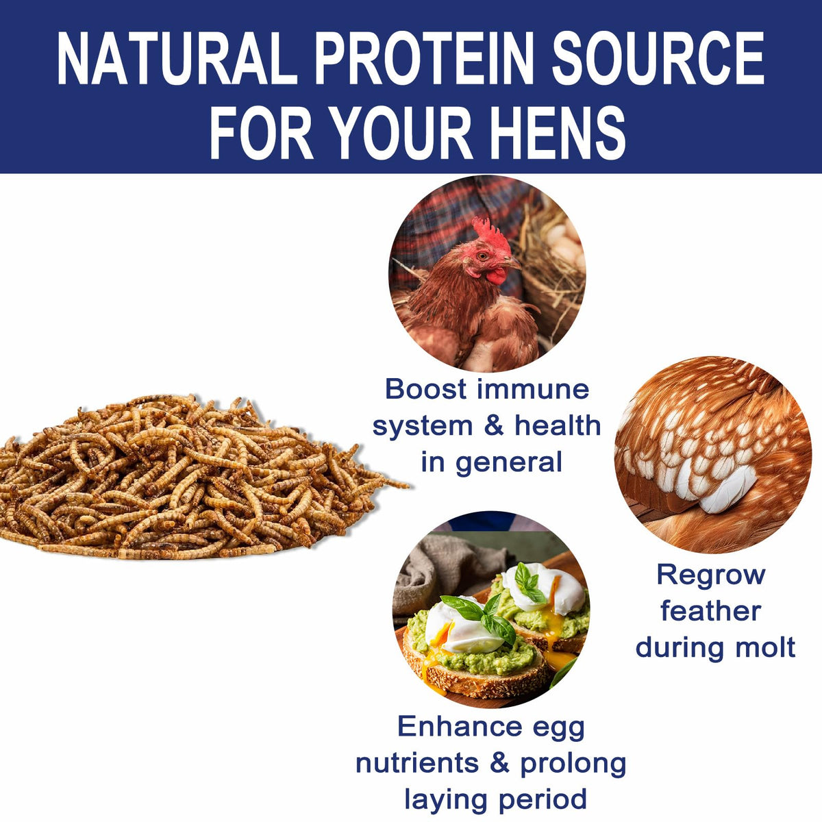 20LBS Non-GMO Dried Mealworms High Protein Chicken Feed C6216