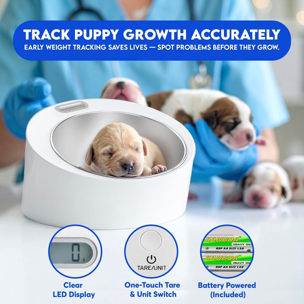 Digital Weight Scale with Stainless-Steel Bowl H18594
