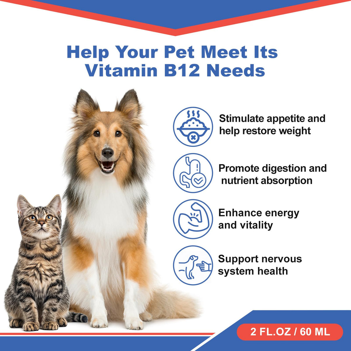 Vitamin B12 Liquid Supplement 60 ml Z622
