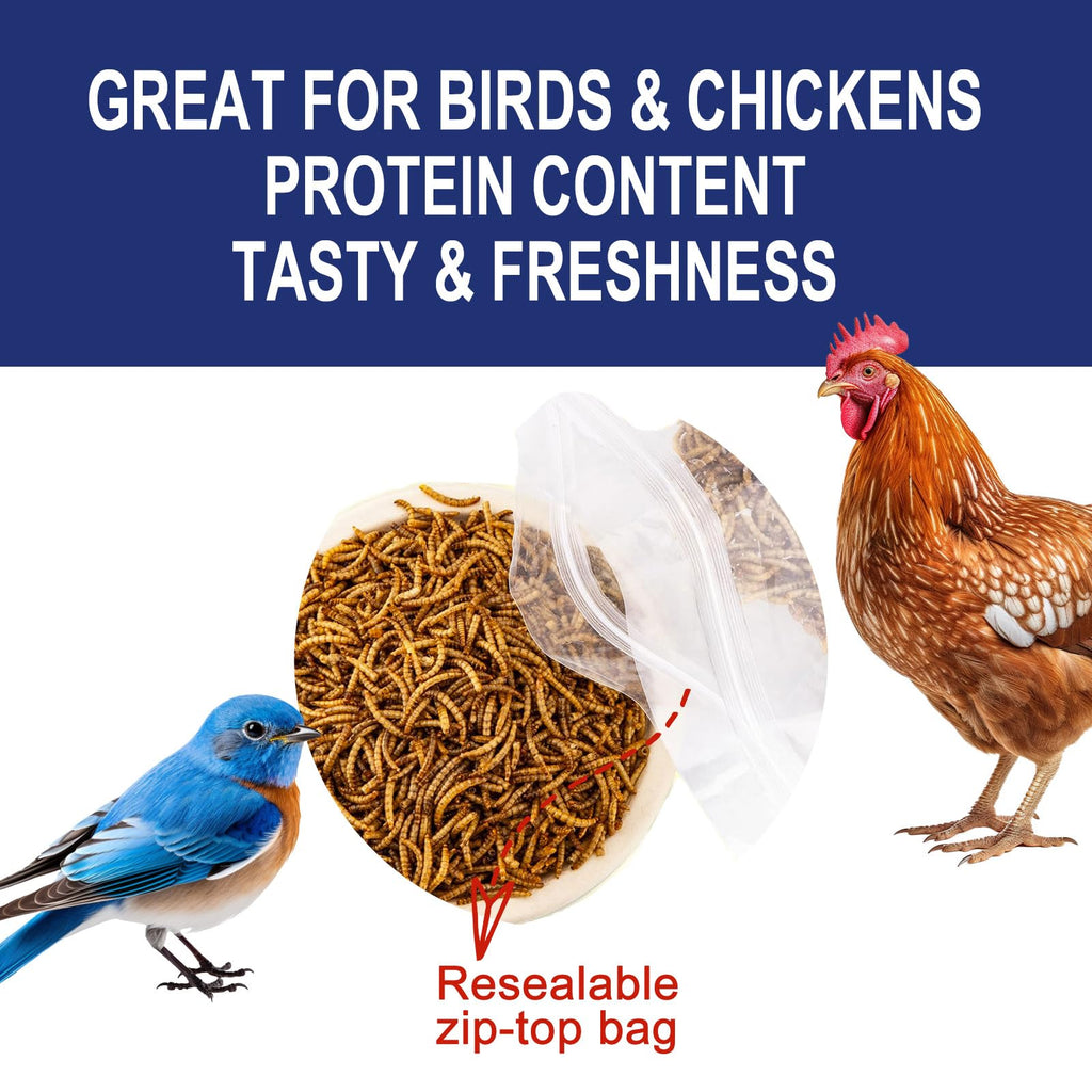 20LBS Non-GMO Dried Mealworms High Protein Chicken Feed C6216
