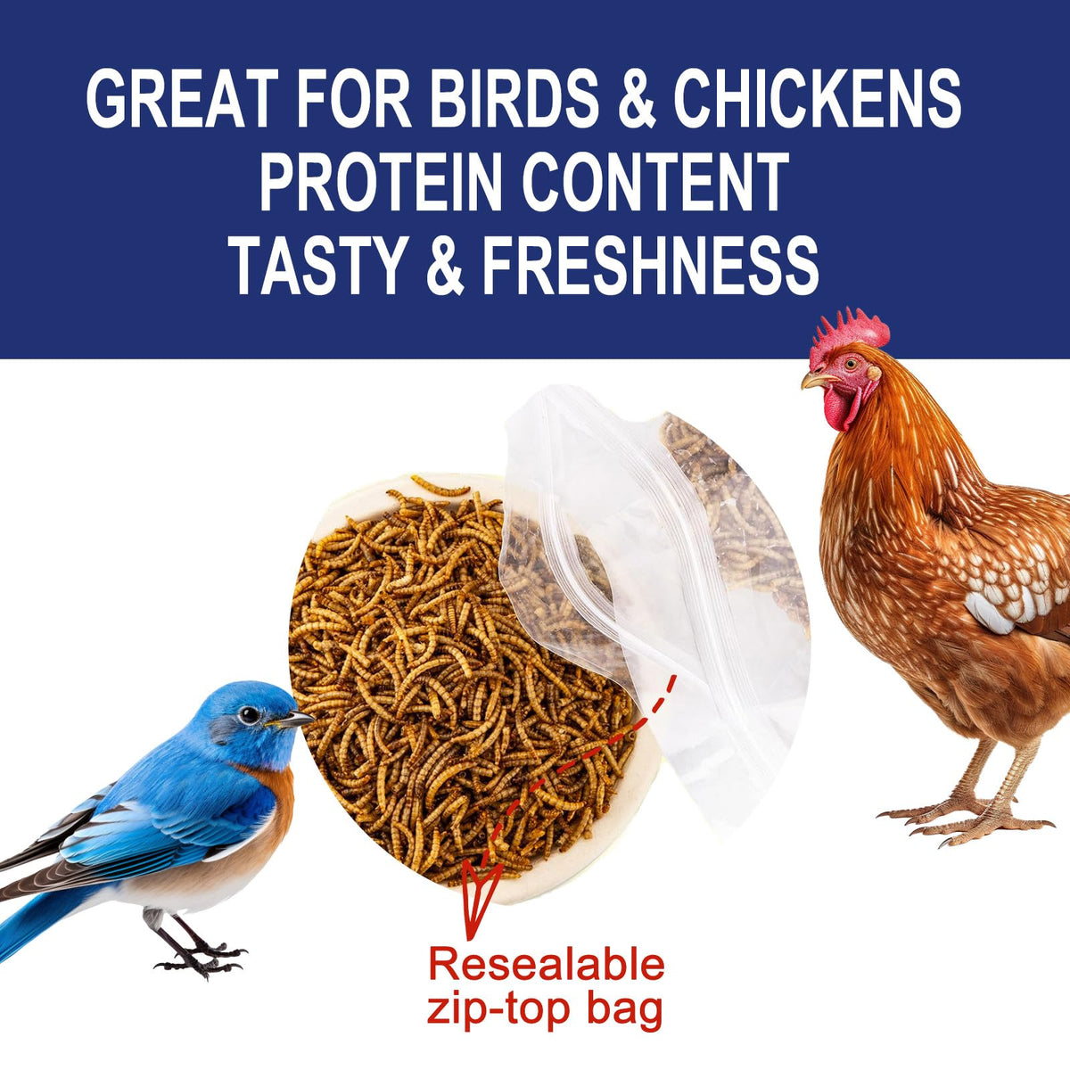 20LBS Non-GMO Dried Mealworms High Protein Chicken Feed C6216