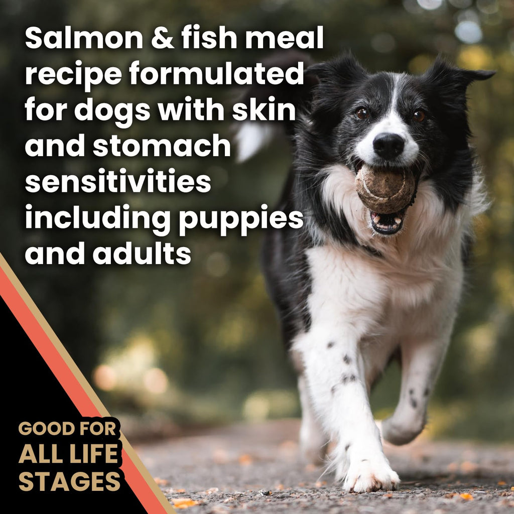 Salmon Meal & Brown Rice Dog Food, 30 lb F85679