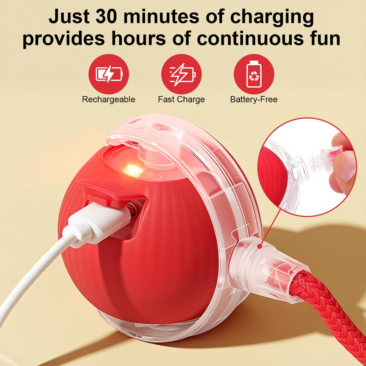 Automatic Rolling Electronic Cat Dog Toy W9982
