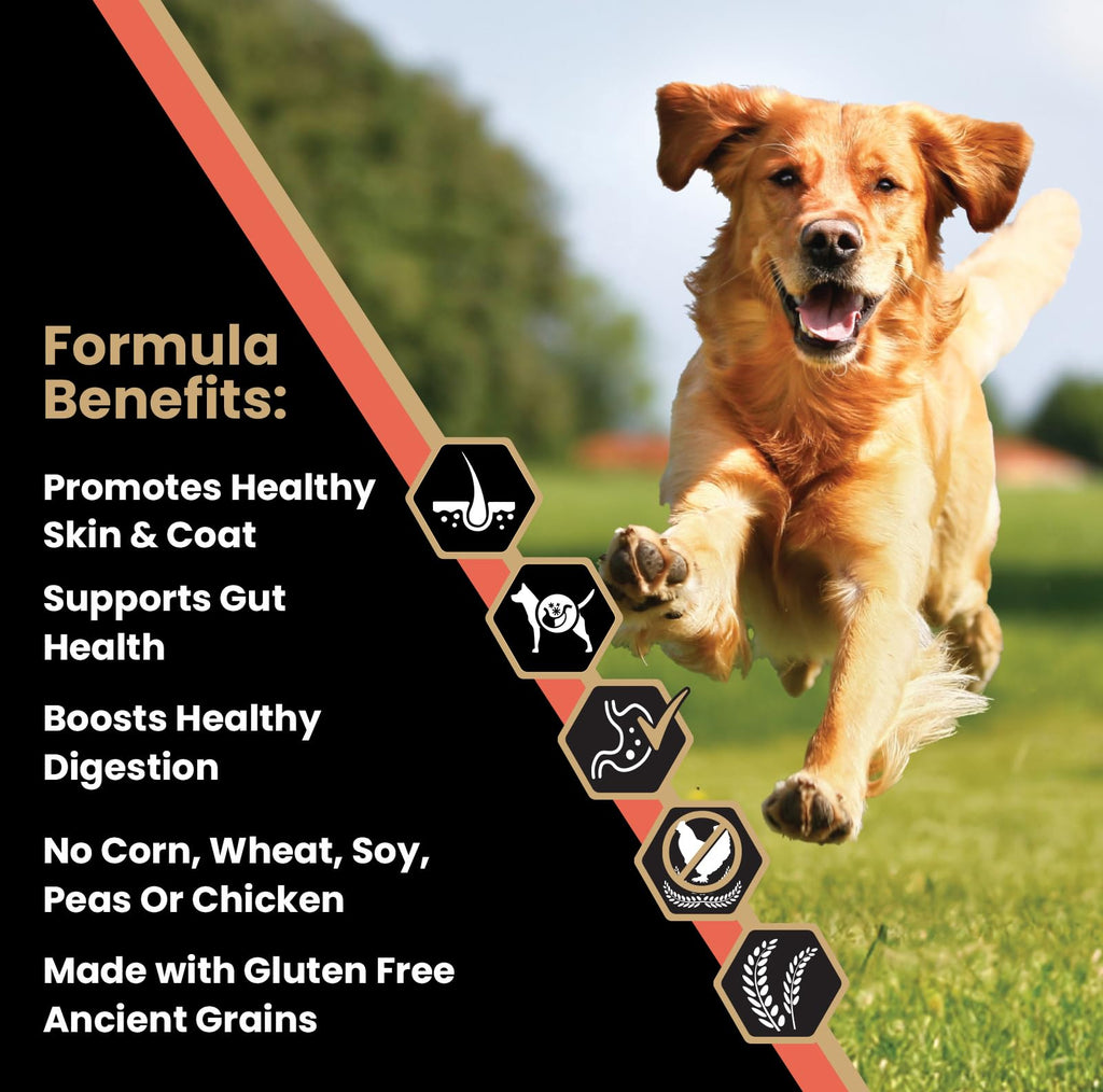 Salmon Meal & Brown Rice Dog Food, 30 lb F85679