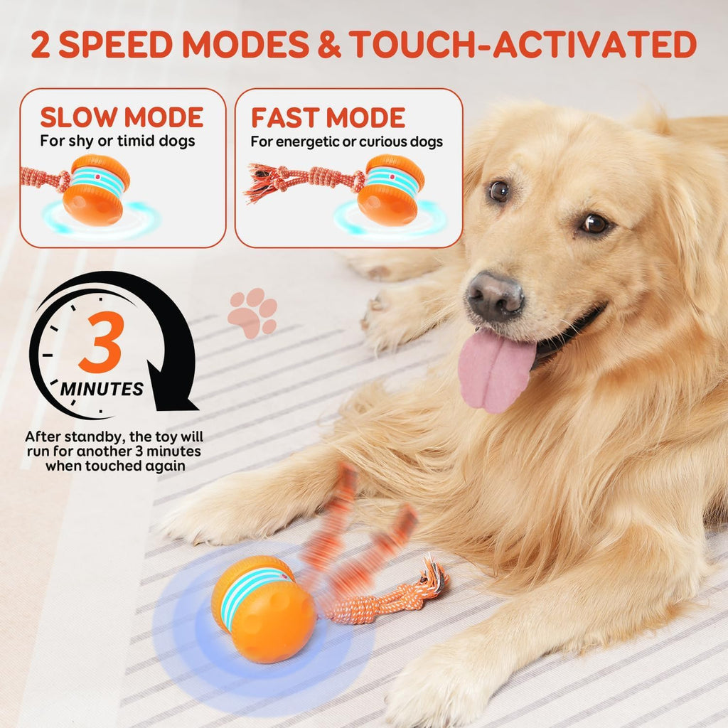 Electric Moving Dog Ball with Rope U3966