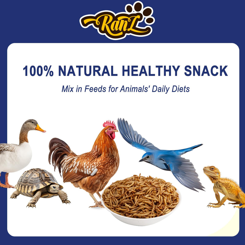20LBS Non-GMO Dried Mealworms High Protein Chicken Feed C6216