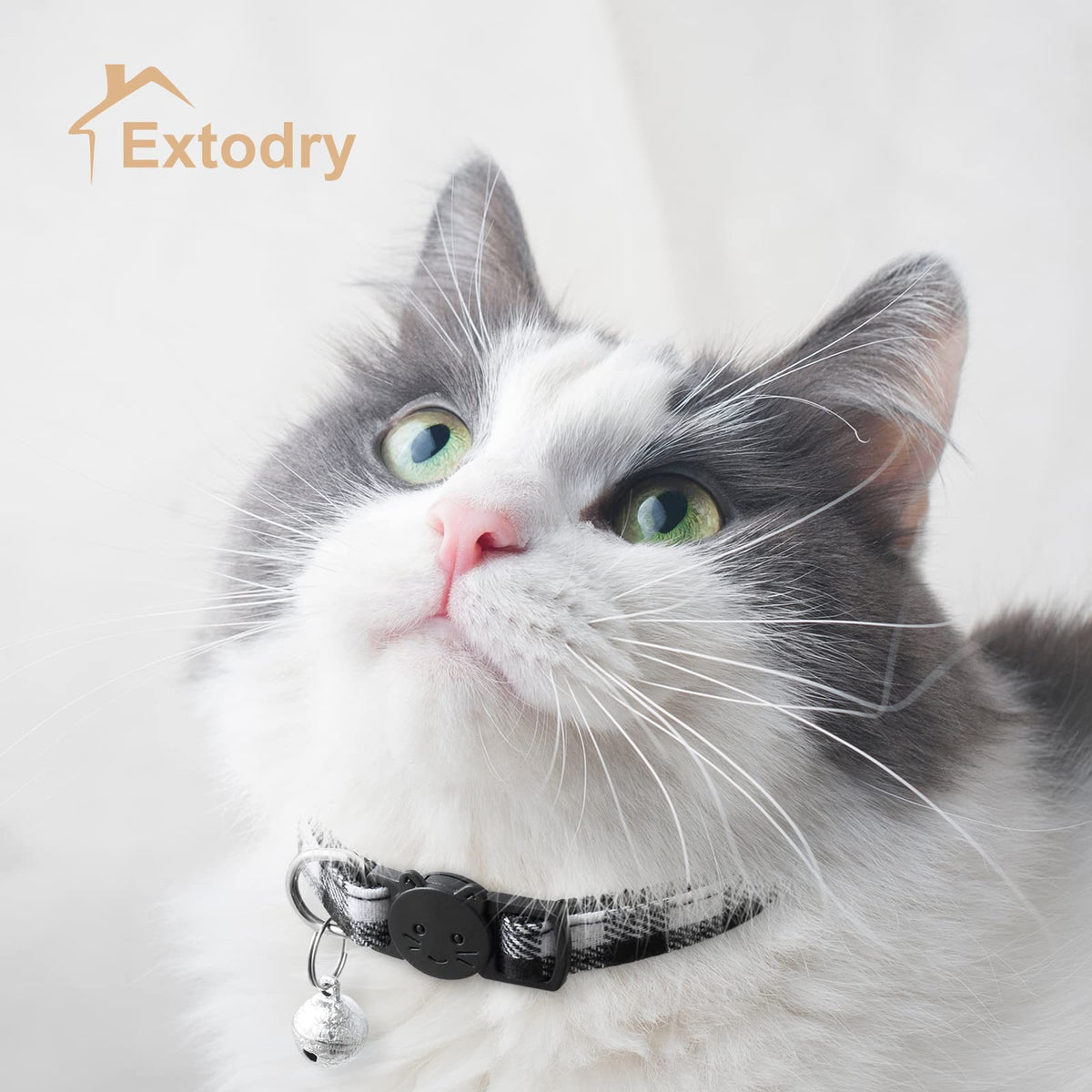 6 Pack Plaid Cat Collars with Bells N200828