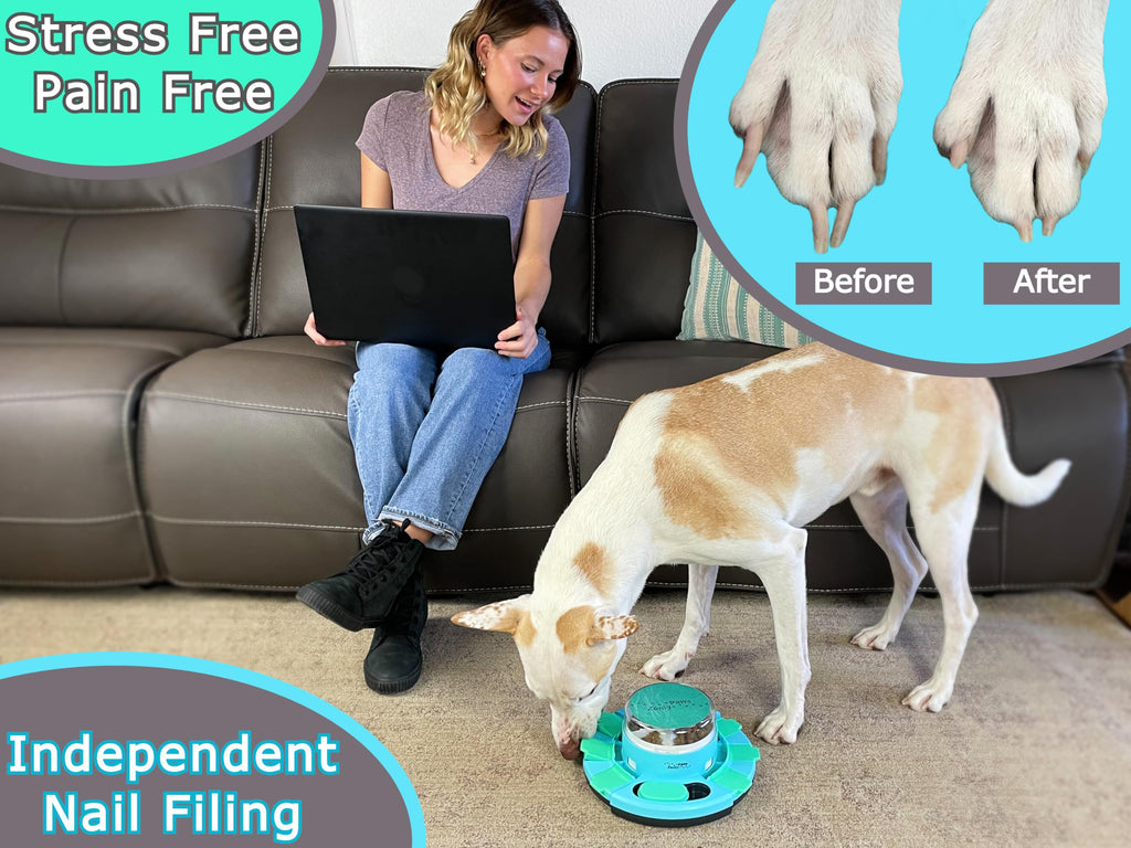 Dog Nail Scratch Board with Treat Dispenser X613