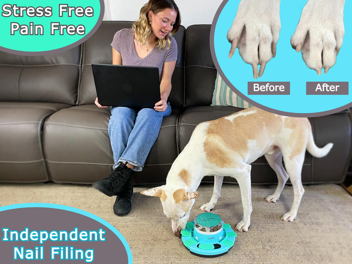 Dog Nail Scratch Board with Treat Dispenser X613