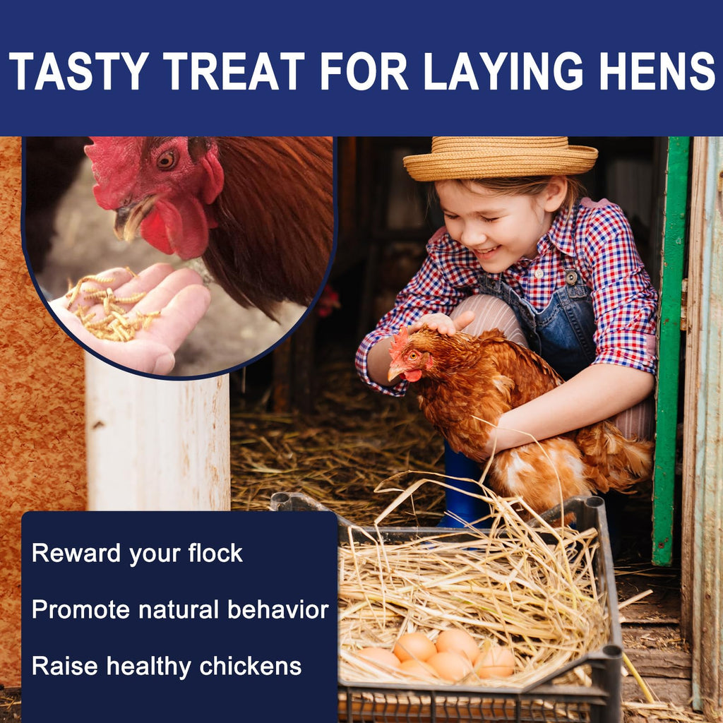 20LBS Non-GMO Dried Mealworms High Protein Chicken Feed C6216