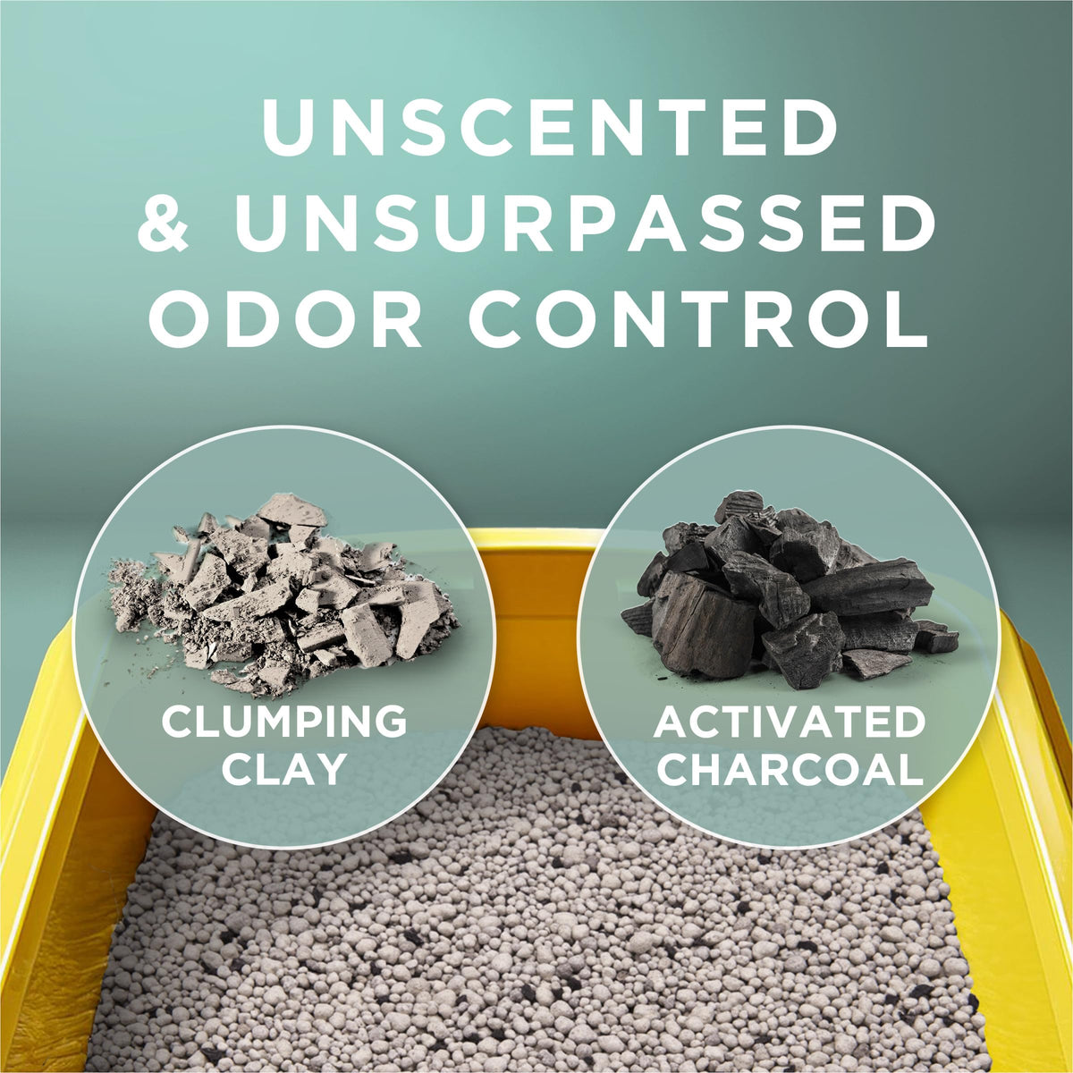 Unscented Clumping Cat Litter M6998