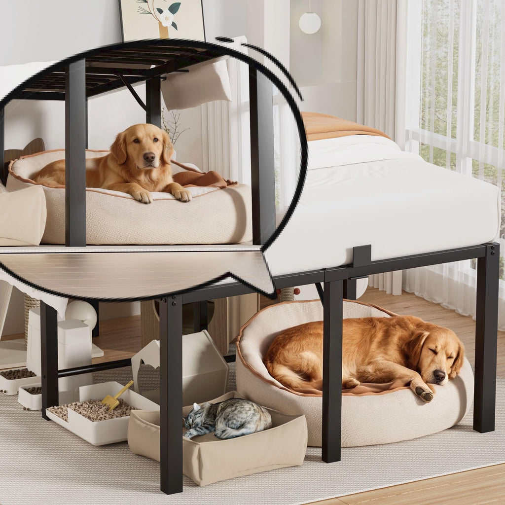 18 Inch Queen Size Black Metal Platform Bed Frame W357