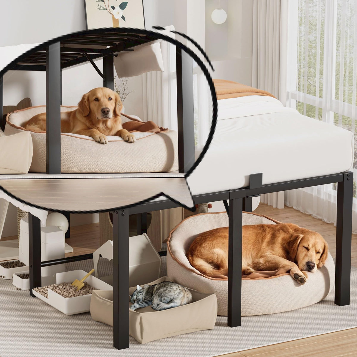 18 Inch Queen Size Black Metal Platform Bed Frame W357