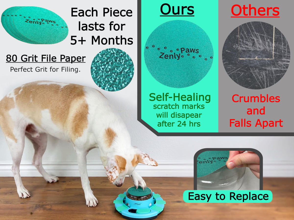 Dog Nail Scratch Board with Treat Dispenser X613