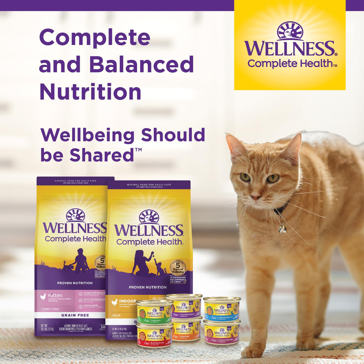 Grain Free Chicken Recipe Dry Cat Food 11.5 lb Bag S53268
