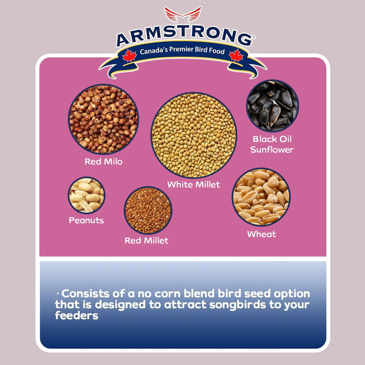 Wild Bird Food Ultra Blend 20 Pound Pail Z24134