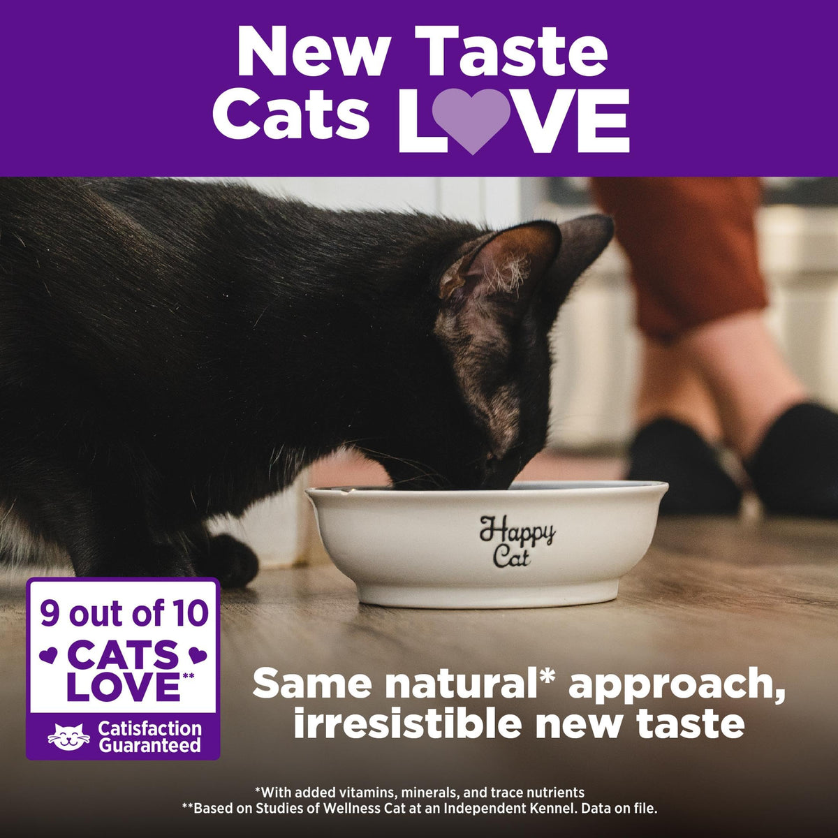 Grain Free Chicken Recipe Dry Cat Food 11.5 lb Bag S53268