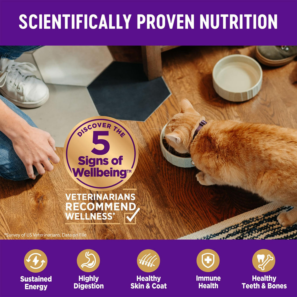 Grain Free Chicken Recipe Dry Cat Food 11.5 lb Bag S53268